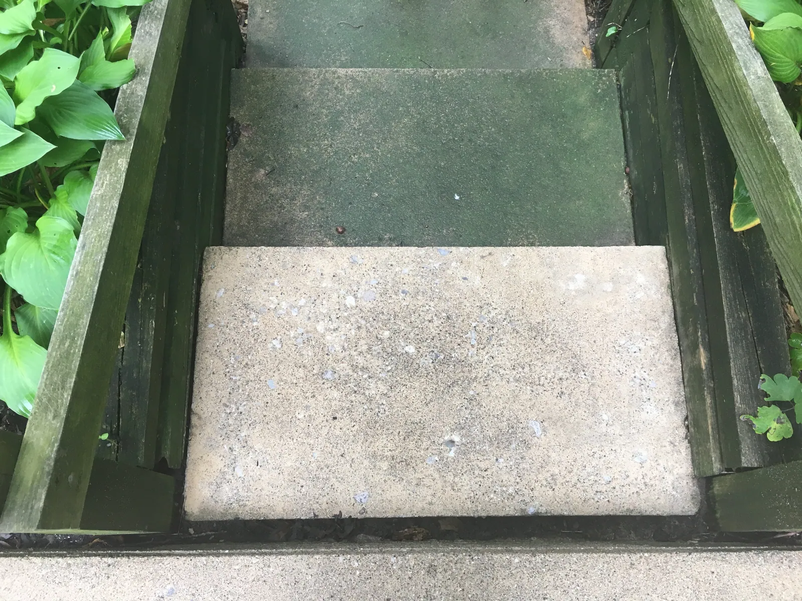 Concrete step cleaned beside a step that has not been washed yet