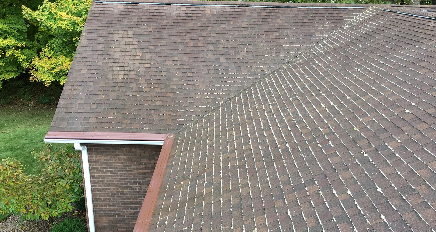 Shingle roof with dark algae streaks before cleaning