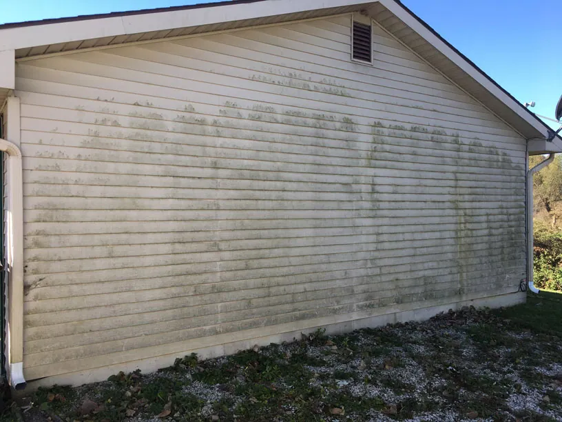 Vinyl siding covered in green algae before soft washing