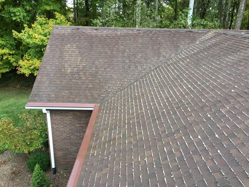Close view of algae streaks on asphalt shingles