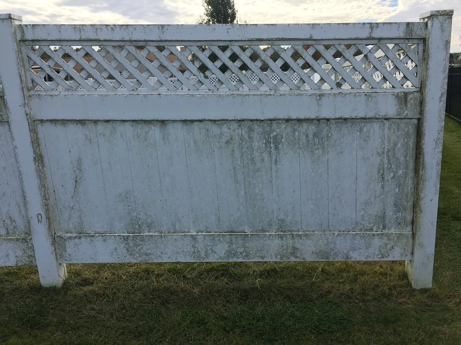 Lattice top vinyl fence with mildew before washing