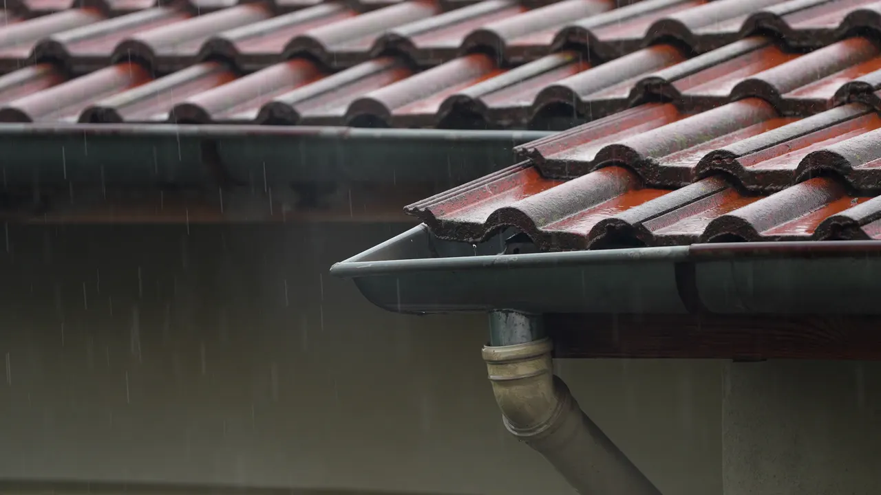 Roof gutter and downspout